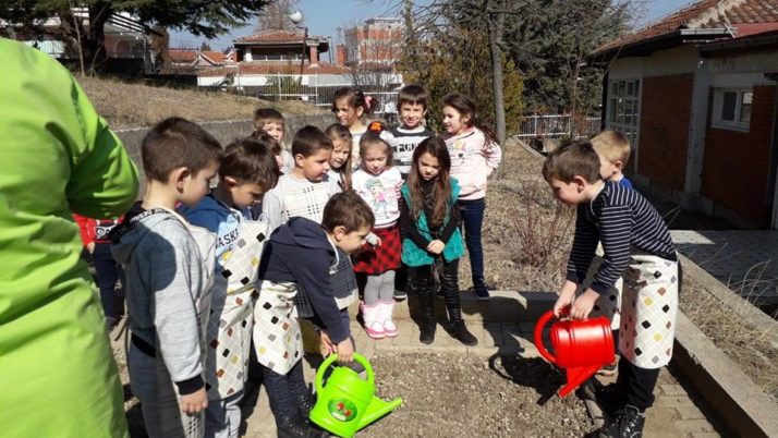 Сеење и садење на зеленчук